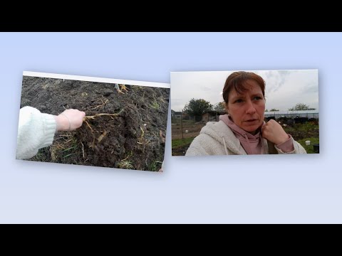 Видео: Жизнь в деревне