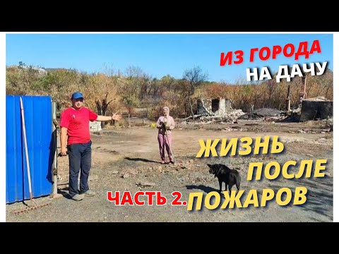 Видео: ЖИЗНЬ ПОСЛЕ ПОЖАРА. Часть 2. Восстановление после ЧС.