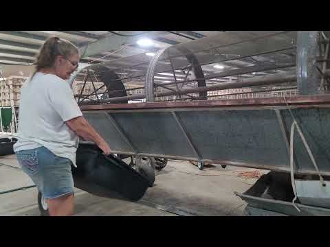 Видео: Самый простой способ собрать червей на продажу — пошаговое руководство (часть 1)