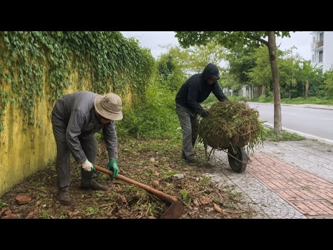 Видео: Этот тротуар не заброшен: экологи в отпуске — мы помогаем навести порядок