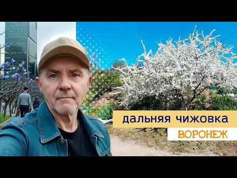 Видео: Прогулка по дальней Чижовке, Воронеж 19 04 25г