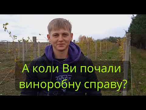 Видео: А коли Ви висадили свій перший виноград?/When did you plant your first grapevine?
