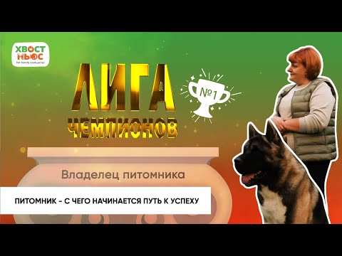 Видео: «Лига чемпионов». Как основать питомник и добиться успеха. Питомник "Индевор". Американская акита.