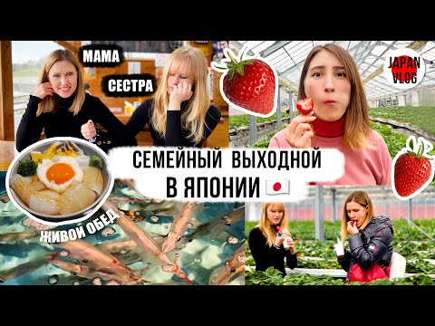 Видео: Клубничная ферма и живой обед! День из жизни нашей семьи в Японии