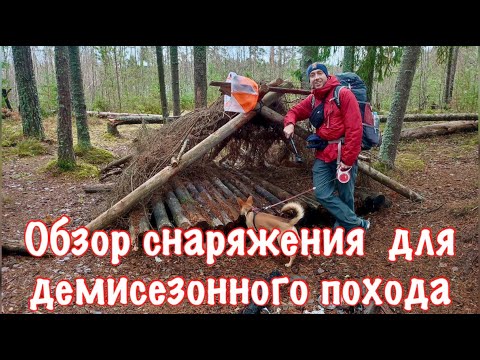 Видео: Обзор моего снаряжения для демисезонного похода с собакой | Экипировка в рюкзаке туриста