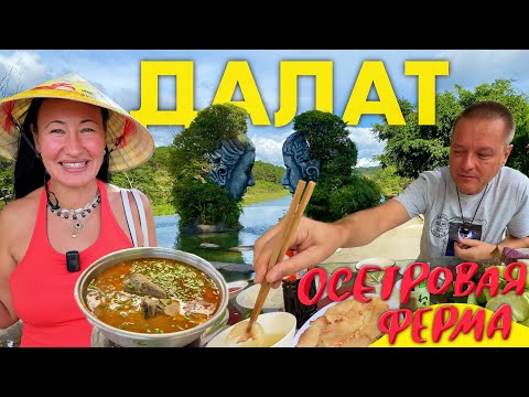 Видео: Вьетнам 2025. Второй День в Далате. Сашими из Свежего Осётра на Осетровой Ферме. Крейзи Хаус