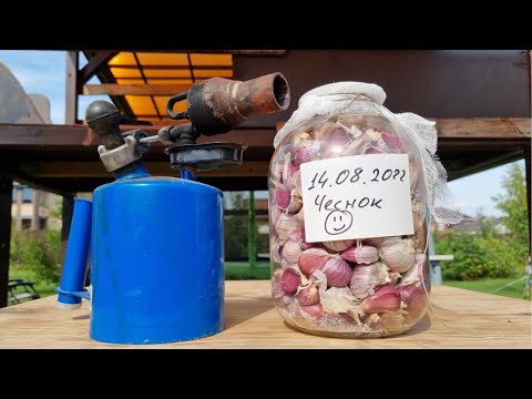 Видео: хранение чеснока в банке начало