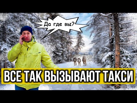 Видео: ВСЕ ТАК ВЫЗЫВАЮТ ТАКСИ