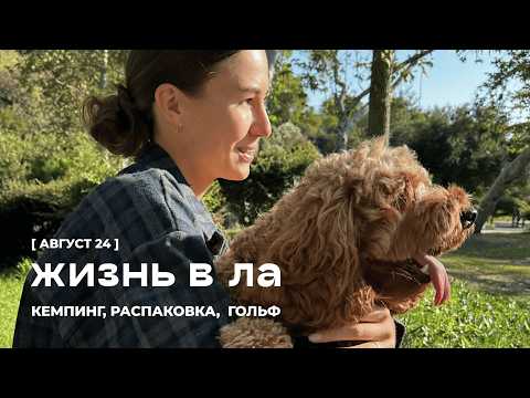 Видео: ЖИЗНЬ В ЛОС-АНДЖЕЛЕСЕ: кемпинг в горах, распаковка и мини гольф
