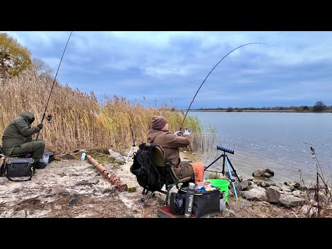 Видео: ДІДІВСЬКА СНАСТЬ, яку забули... а вона ловить як божевільна!