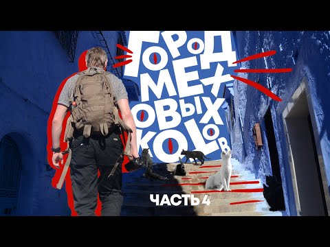 Видео: Коты Шефшауэна. Ночной заплыв в Рабате и встреча с полицией. (Перезалив)