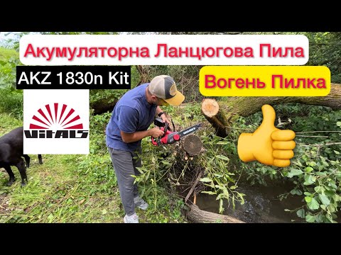 Видео: Пила ланцюгова акумуляторна Vitals AKZ 1830n Kit набір з потужністю 600w Огляд та тест 