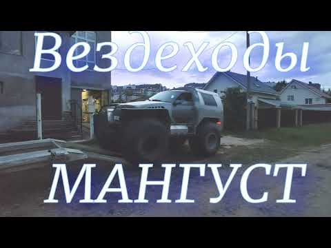 Видео: 15 . Тихая охота . Начало.