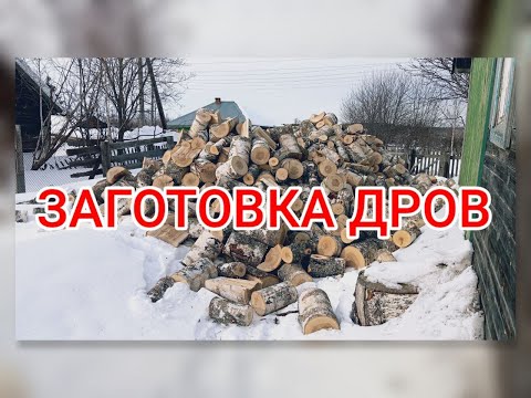 Видео: Заготовка дров