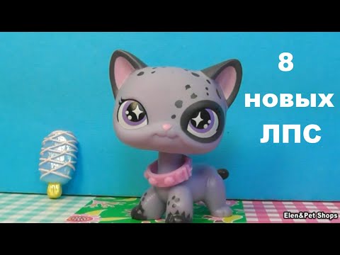 Видео: LPS: Посылки с новыми петами.