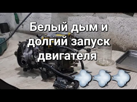 Видео: Паджеро 3 4м41 белый густой дым из выхлопной трубы, долгий запуск двигателя.