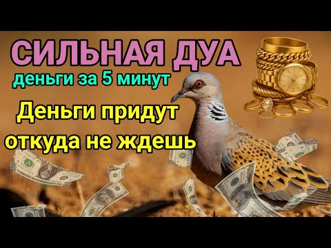Видео: СИЛЬНАЯ ДУА НА ДЕНЬГИ || деньги за 5 минут, RUQYAH FOR RIZQ MONEY WEALTH MARRIAGE 