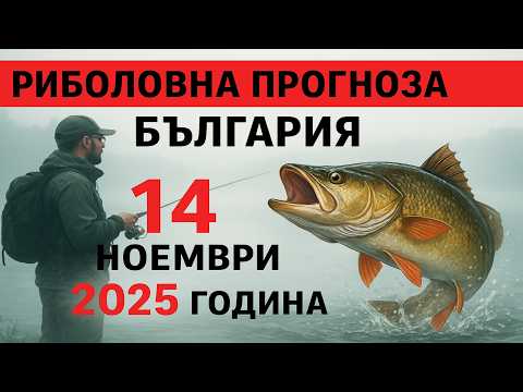 Видео: ПРОГНОЗ КЛЬОВА в България на 14 ноември 2025 година – Не пропускайте този риболовен ден!