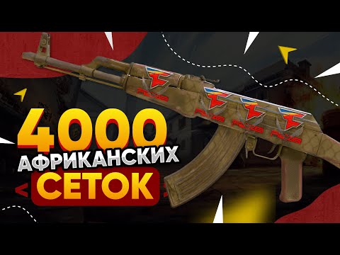 Видео: КУПИЛ 4000 AK-47 | Африканская сетка в КС 2. Попалась РЕДКАЯ НАКЛЕЙКА 2014 ГОДА и ФЛОАТ ТОП-100