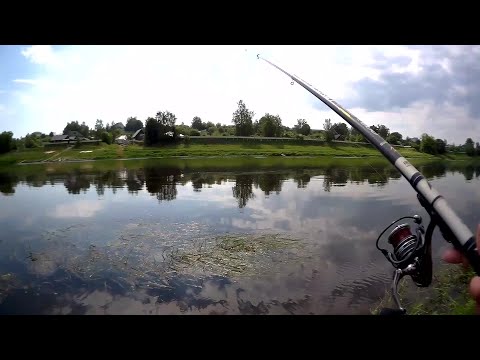 Видео: Ловля в проводку на Днепре