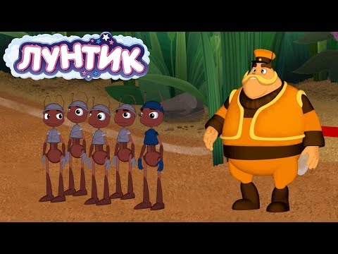 Видео: Лунтик | Лес 🌲🌳🌿 Сборник мультфильмов для детей