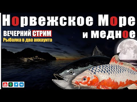 Видео: Вечерний СТРИМ • Рыбалка в два аккаунта • Начало в 19:00 МСК • Море и Медное • Русская Рыбалка 4