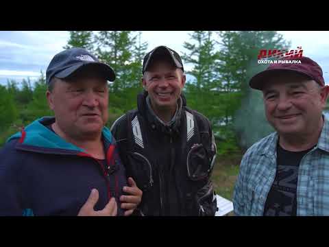 Видео: ВИЗУС-1 и Телеканал ДИКИЙ на Приполярном Урале. Часть 2