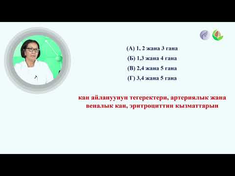 Видео: Биология 2 сабак