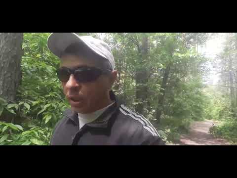 Видео: Прогулочка.