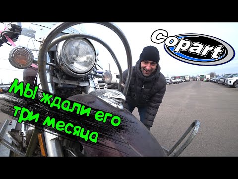 Видео: МотоГоловняк#1| Yamaha XVS 1100 Dragstar на аукционе Copart за 975$| Прохождение таможни от А до Я