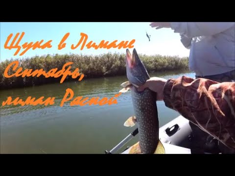 Видео: Щука осенью в лимане Рясной. Рыбалка в Сентябре.