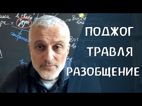 Видео: Что мы скажем детям? Михаил Пицхелаури