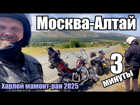 Видео: Харлей мамонт-ран 2025- Москва-Алтай. 3 минуты