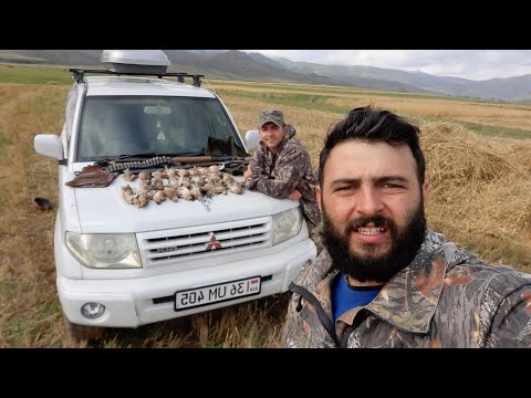 Видео: Լորի որս 2020 / lori vors / охота на перепела в Армении / охота с дратхааром / lori vors shnerov