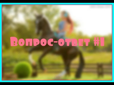 Видео: Вопрос-ответ #1 | Переезд в Москву, первое седло, парень-коллекционер?