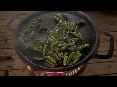 Видео: Пузыристый перец шишито