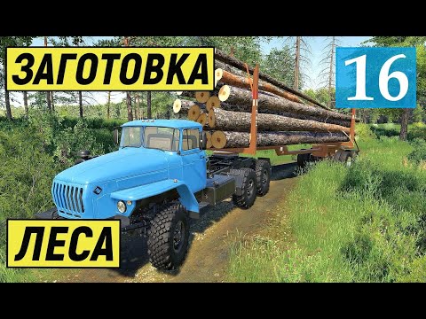 Видео: Farming Simulator 19 - Заготовка и Перевозка ЛЕСА, НОВЫЙ ТРАКТОР и МАШИНЫ - Фермер в совхозе РАССВЕТ