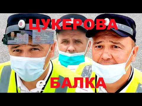 Видео: Цукерова е балка