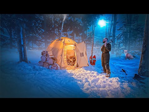 Видео: НОЧУЮ В ЛЕСУ в ЗИМНЕЙ ПАЛАТКЕ С ПЕЧКОЙ | КРУГОМ ДИКИЕ ЗВЕРИ