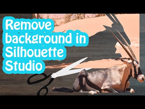 Видео: Удаление фотофона в Silhouette Studio