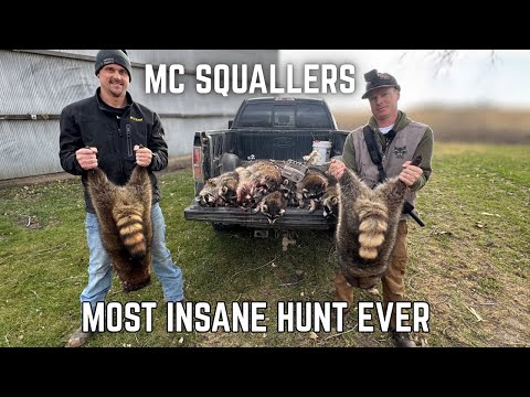 Видео: ЗОВ ЕНОТОВ: «Еноты устроили беспредел на ферме!»