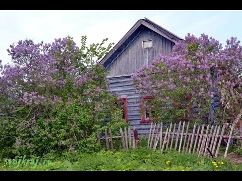 Видео: Забвение