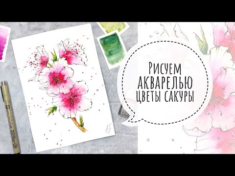 Видео: Рисуем АКВАРЕЛЬЮ цветы сакуры |  скетч за 30 минут