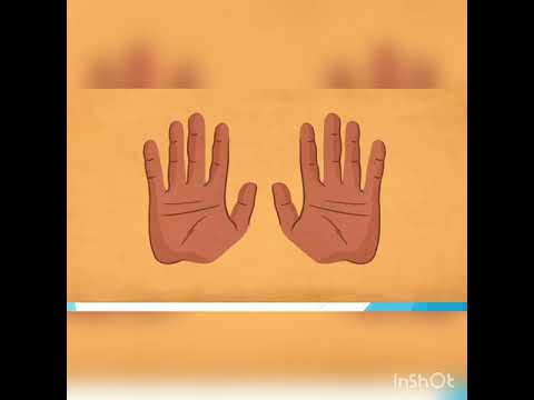 Видео: Теринин түзүлүшү жана функциясы.