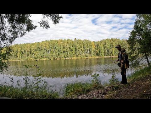 Видео: РЫБАЛКА НА МЁРТВОЙ РЕКЕ В КАРЕЛИИ С НОЧЁВКОЙ.