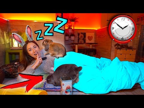 Видео: Ночь в доме у Кроликов 24 часа Челлендж Попробуй Уснуть | Elli Di Pets