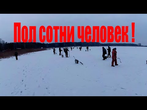 Видео: Соревнования на НЕЗНАКОМОМ водоеме/Зимний Рогачев 2023/Тактика соревнований