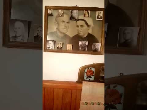 Видео: Коледарски тертипи....