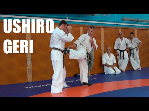 Видео: Ushiro Geri / Уширо гэри от сэнсея Андрея Чиркова