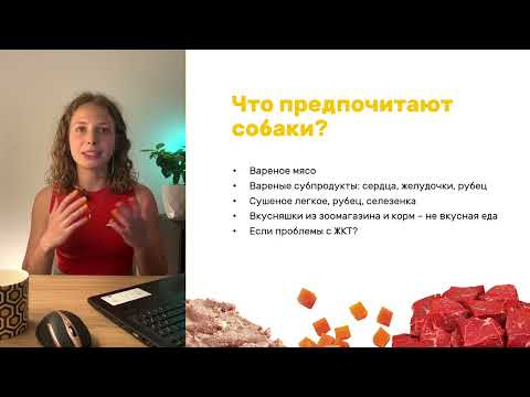 Видео: Как завладеть вниманием собаки? - лекция 1